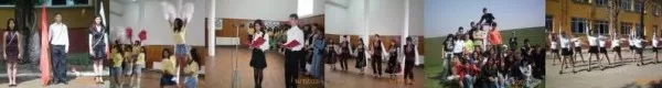 Професионална гимназия Димитър Маринов Вълчедръм